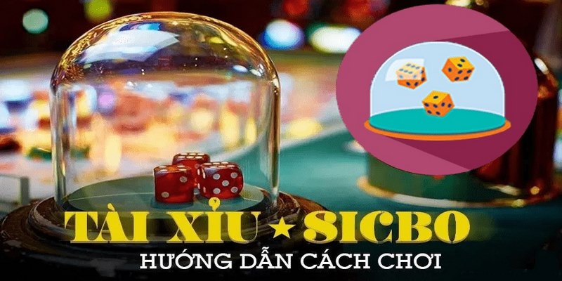 Bí kiếp đặt cược liên tiếp khi chơi tài xỉu